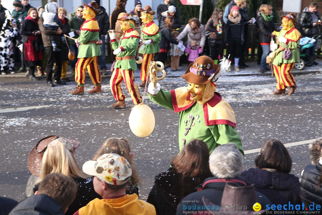 Narrensprung: Hasenweiler am Bodensee, 12.01.2014