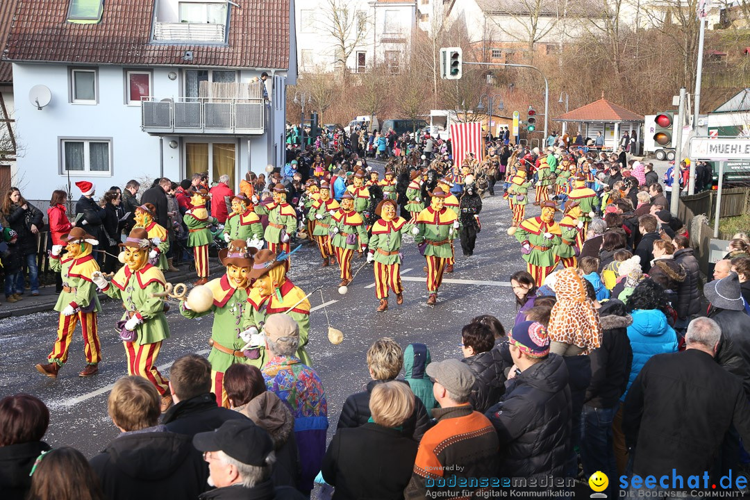 Narrensprung: Hasenweiler am Bodensee, 12.01.2014