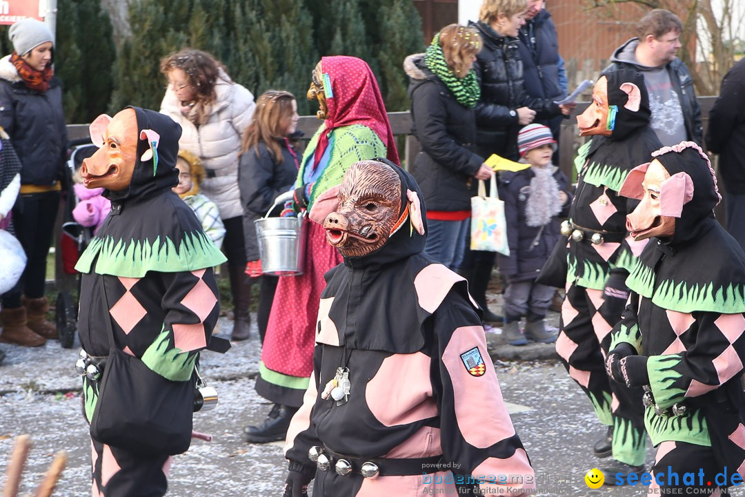 Narrensprung: Hasenweiler am Bodensee, 12.01.2014