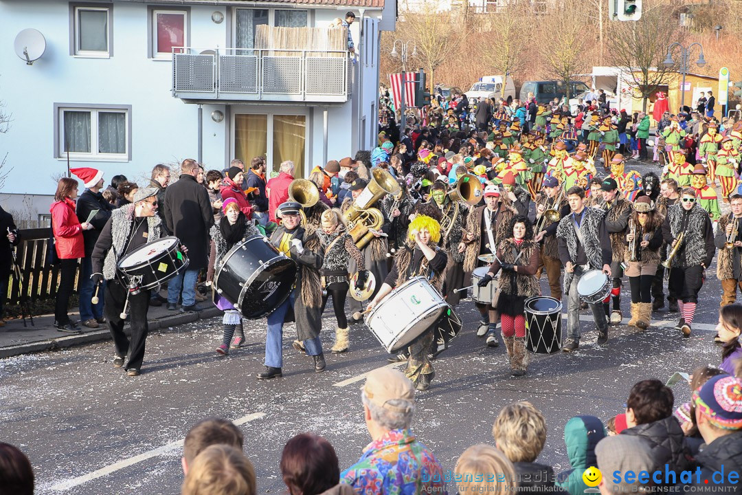 Narrensprung: Hasenweiler am Bodensee, 12.01.2014