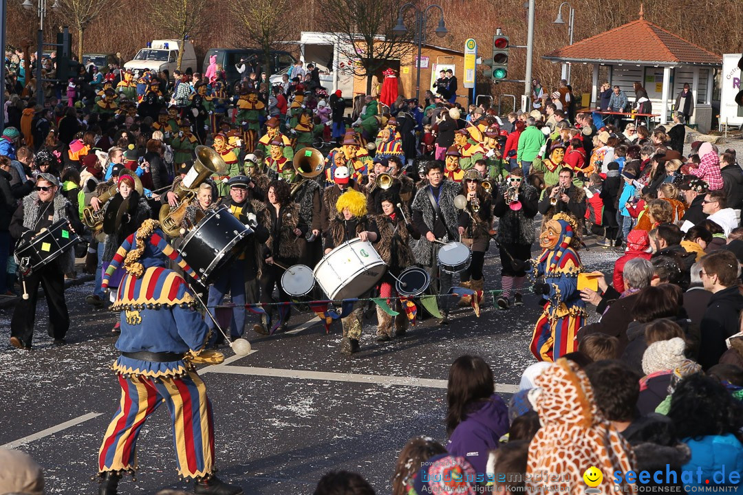 Narrensprung: Hasenweiler am Bodensee, 12.01.2014