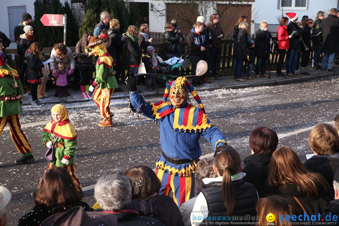 Narrensprung: Hasenweiler am Bodensee, 12.01.2014