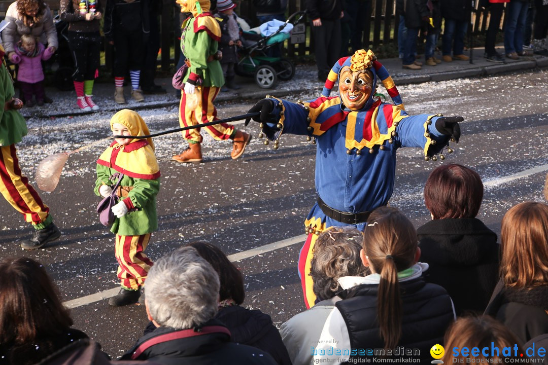 Narrensprung: Hasenweiler am Bodensee, 12.01.2014