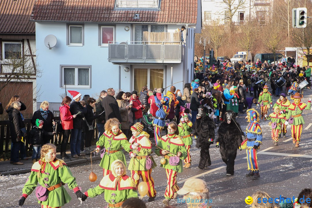 Narrensprung: Hasenweiler am Bodensee, 12.01.2014