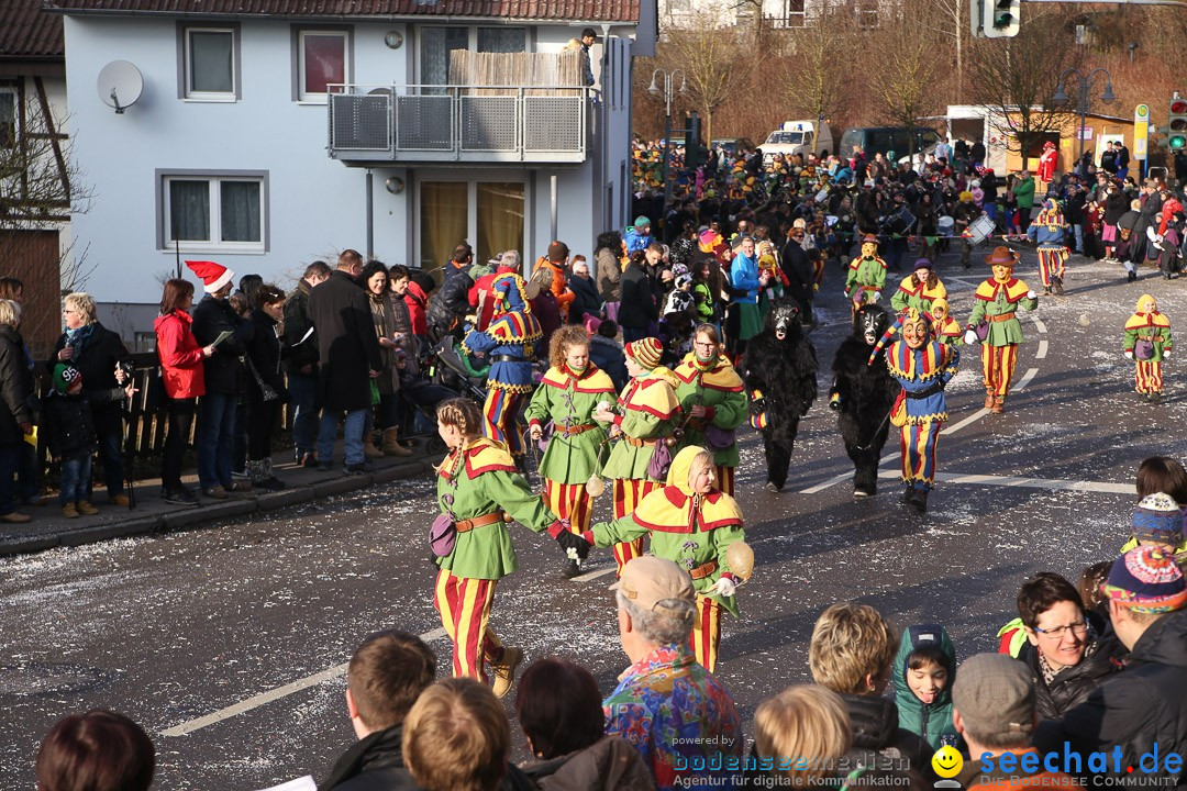 Narrensprung: Hasenweiler am Bodensee, 12.01.2014