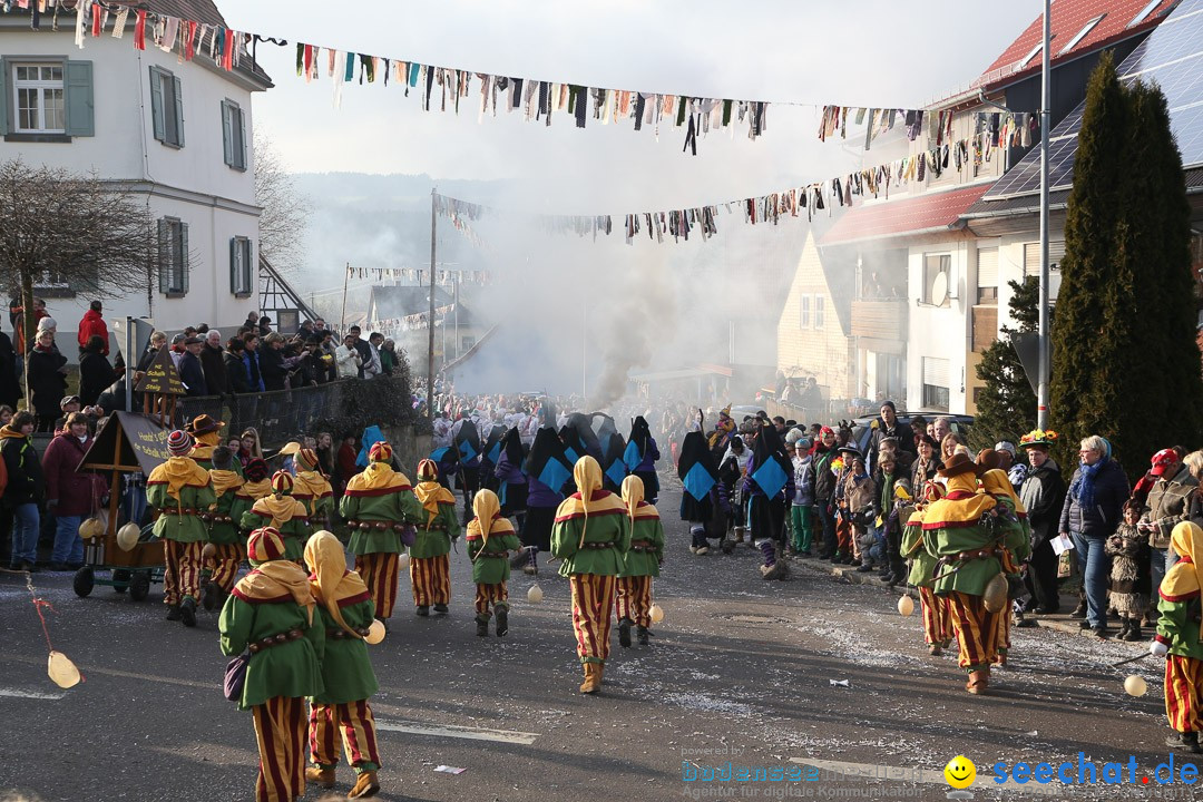 Narrensprung: Hasenweiler am Bodensee, 12.01.2014