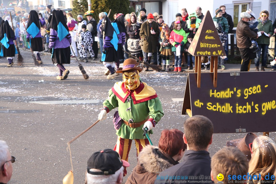 Narrensprung: Hasenweiler am Bodensee, 12.01.2014