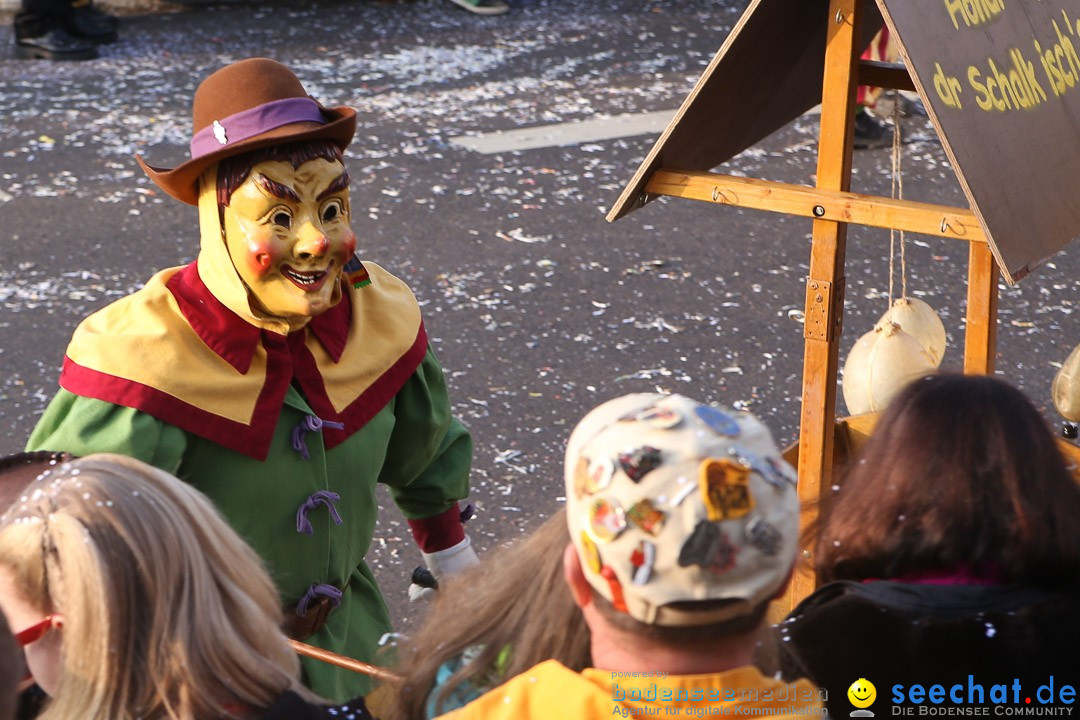 Narrensprung: Hasenweiler am Bodensee, 12.01.2014