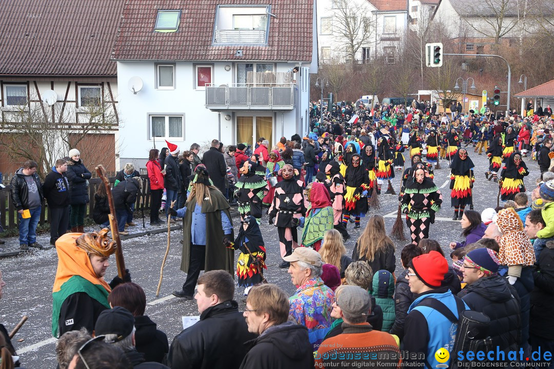 Narrensprung: Hasenweiler am Bodensee, 12.01.2014