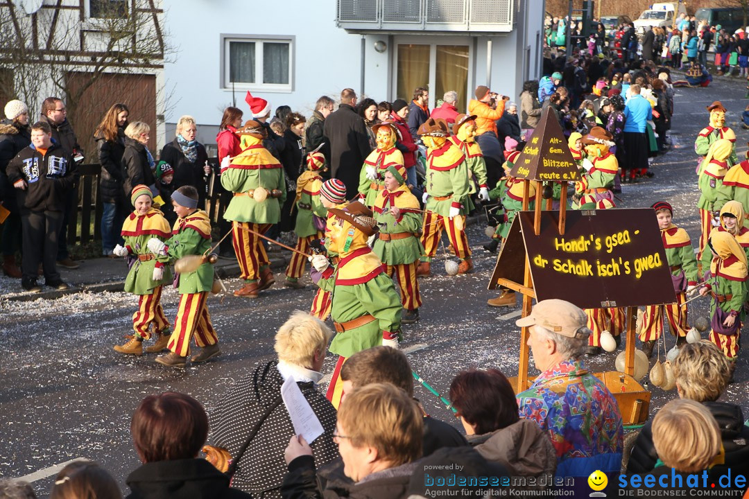 Narrensprung: Hasenweiler am Bodensee, 12.01.2014