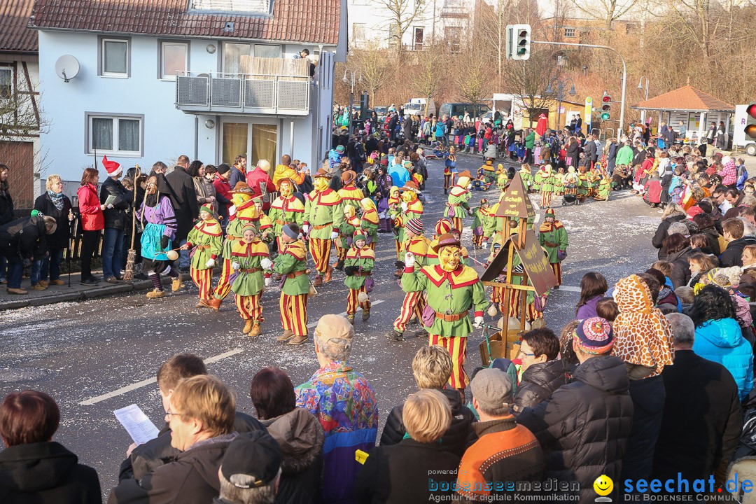 Narrensprung: Hasenweiler am Bodensee, 12.01.2014