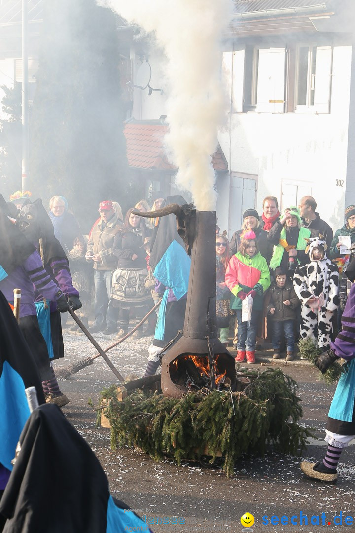 Narrensprung: Hasenweiler am Bodensee, 12.01.2014