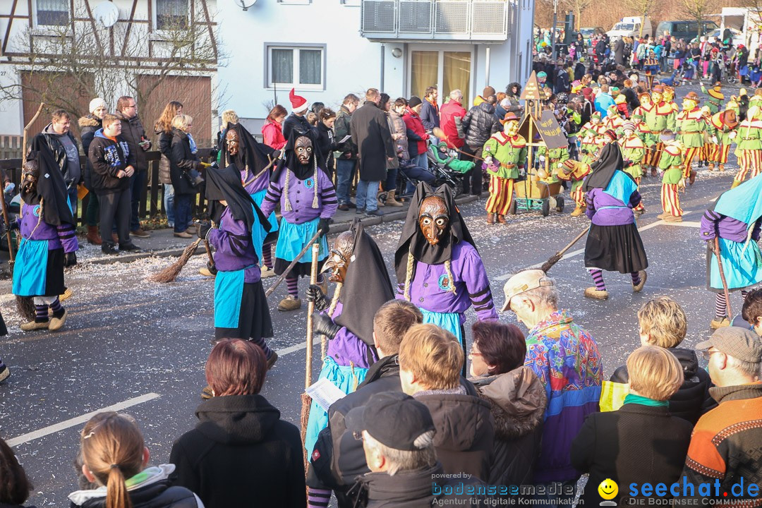 Narrensprung: Hasenweiler am Bodensee, 12.01.2014