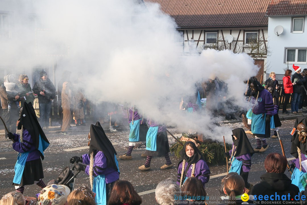 Narrensprung: Hasenweiler am Bodensee, 12.01.2014