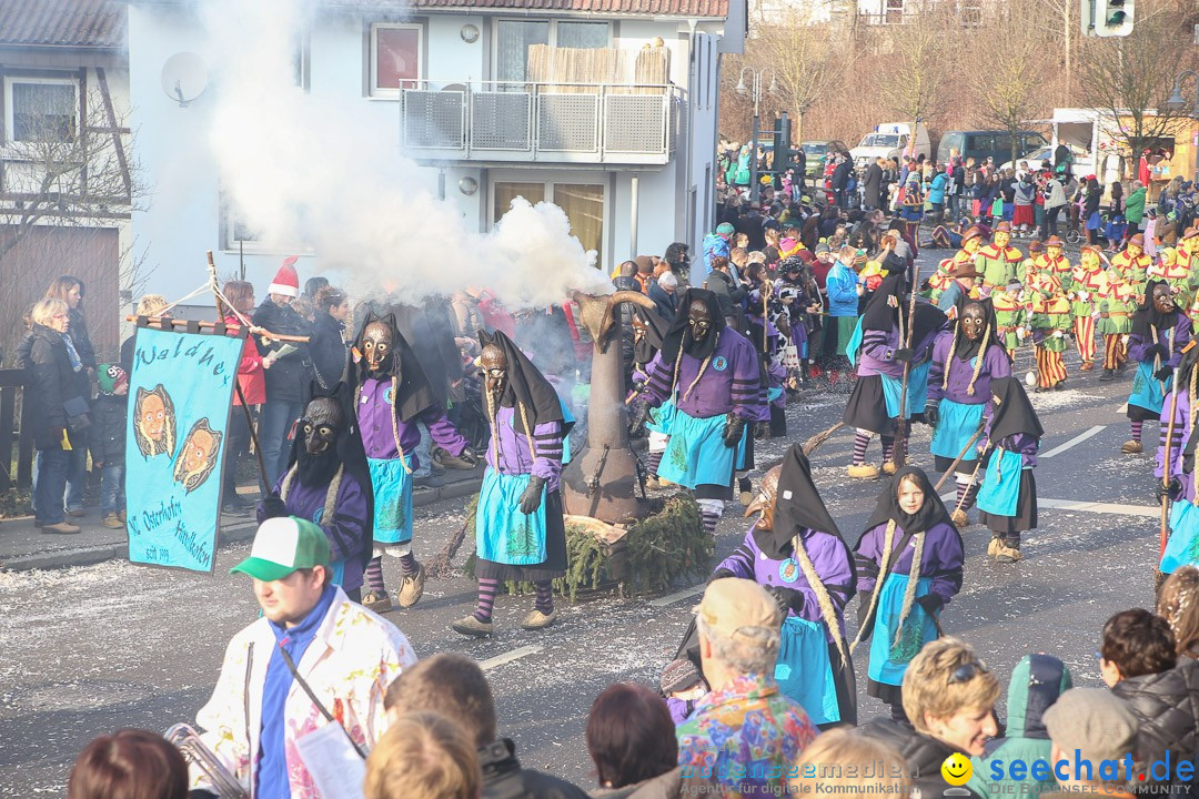 Narrensprung: Hasenweiler am Bodensee, 12.01.2014