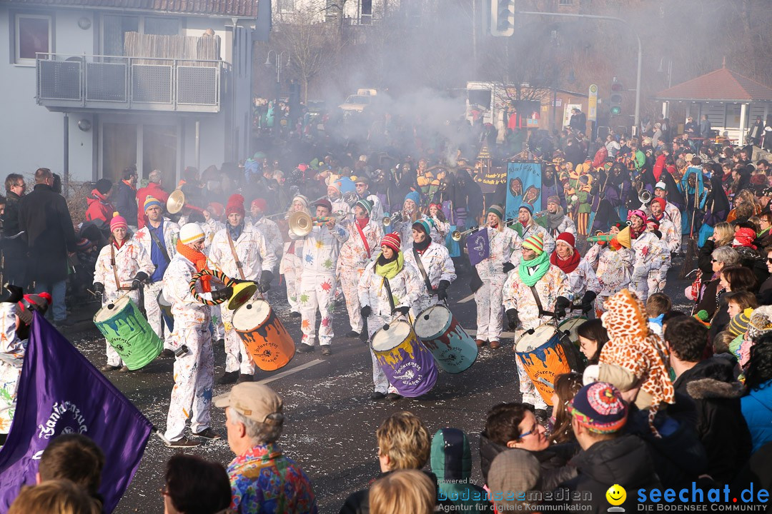 Narrensprung: Hasenweiler am Bodensee, 12.01.2014