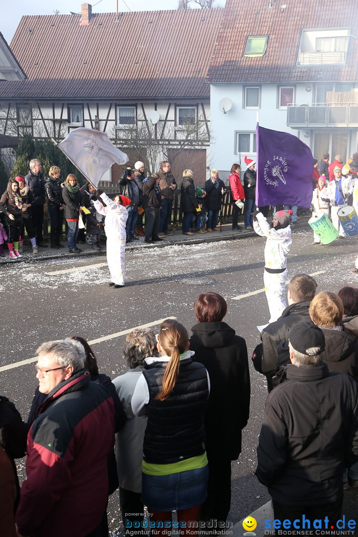 Narrensprung: Hasenweiler am Bodensee, 12.01.2014