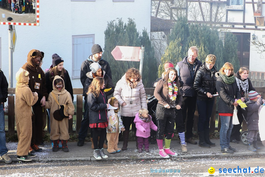 Narrensprung: Hasenweiler am Bodensee, 12.01.2014