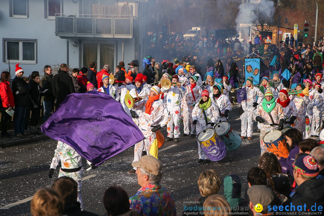 Narrensprung: Hasenweiler am Bodensee, 12.01.2014