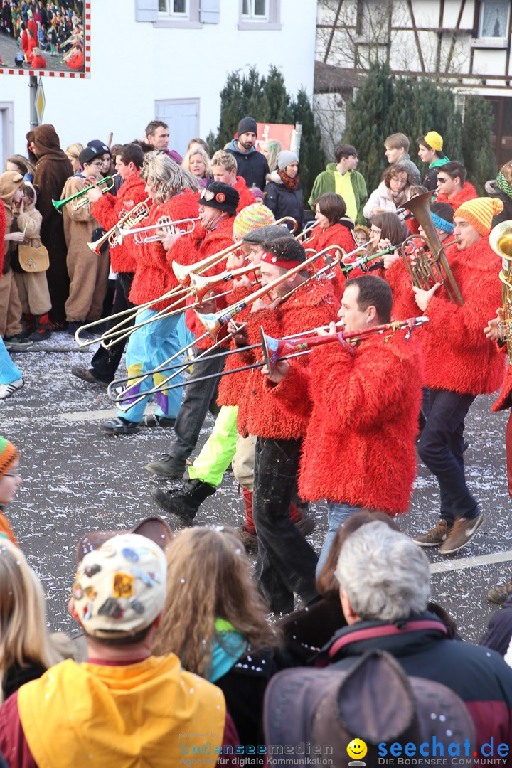 Narrensprung: Hasenweiler am Bodensee, 12.01.2014