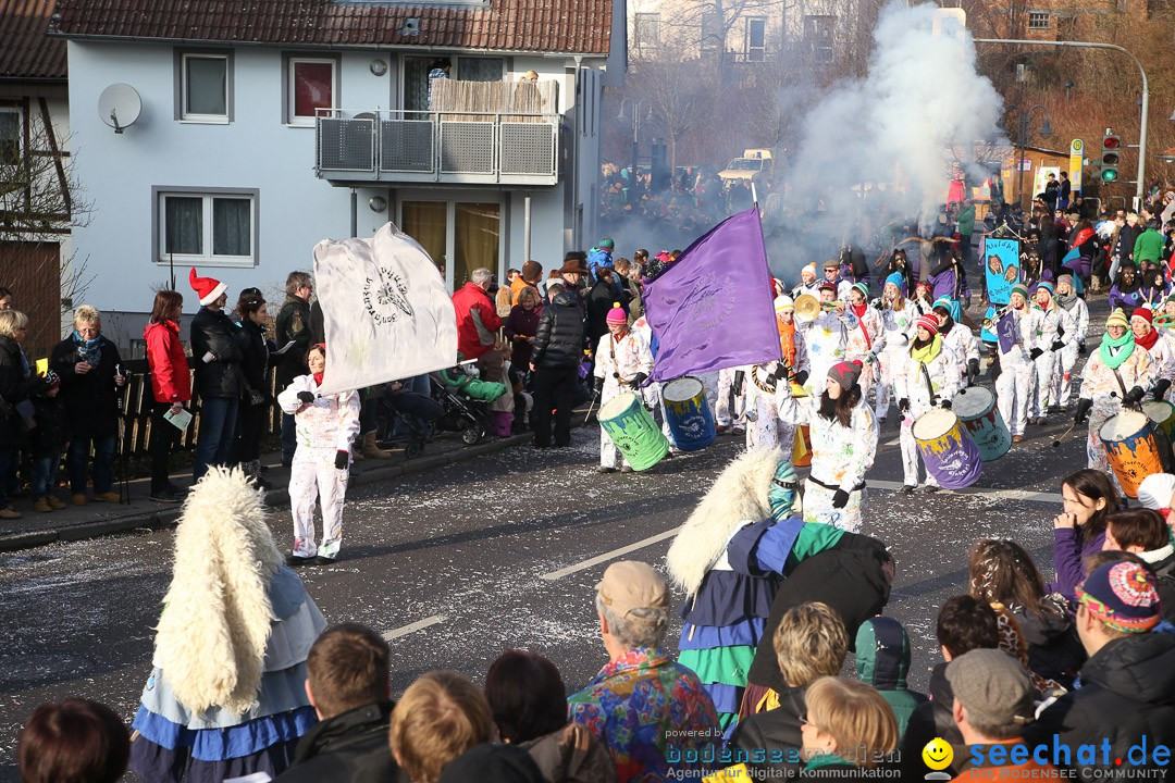 Narrensprung: Hasenweiler am Bodensee, 12.01.2014