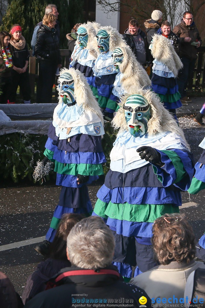 Narrensprung: Hasenweiler am Bodensee, 12.01.2014