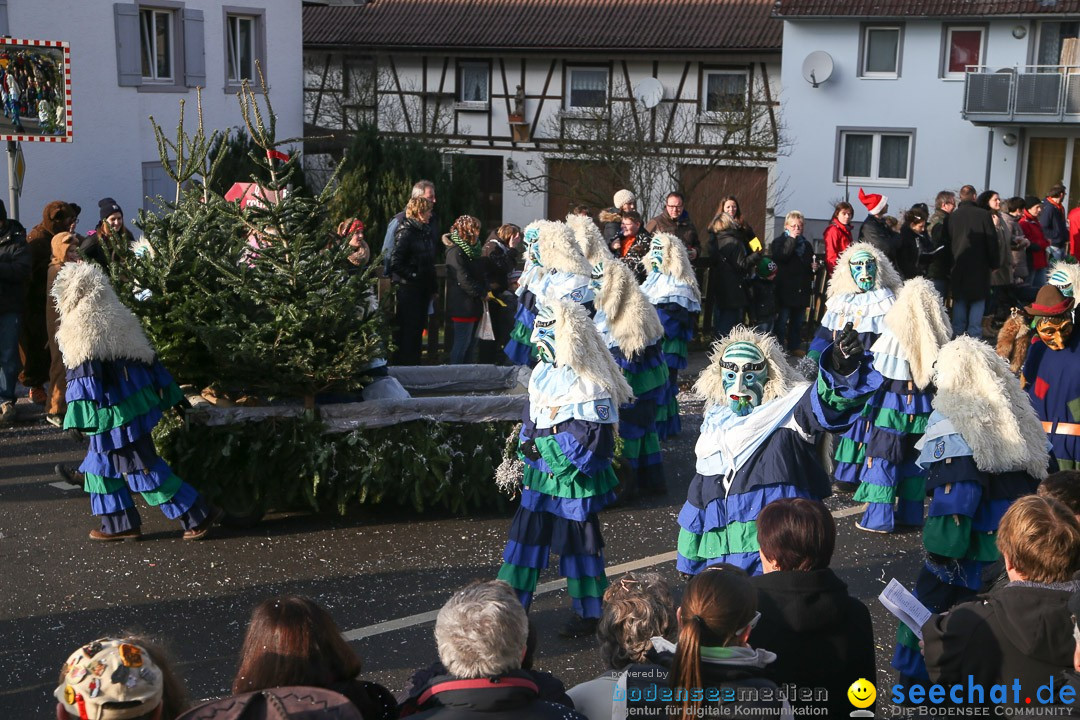 Narrensprung: Hasenweiler am Bodensee, 12.01.2014