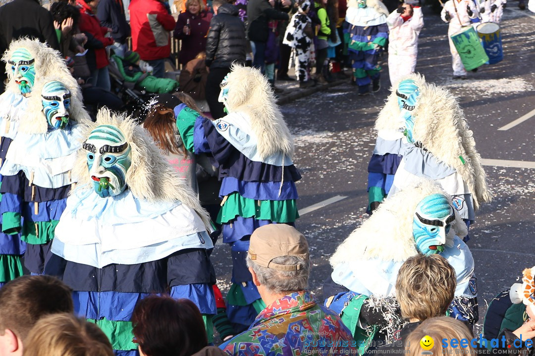 Narrensprung: Hasenweiler am Bodensee, 12.01.2014