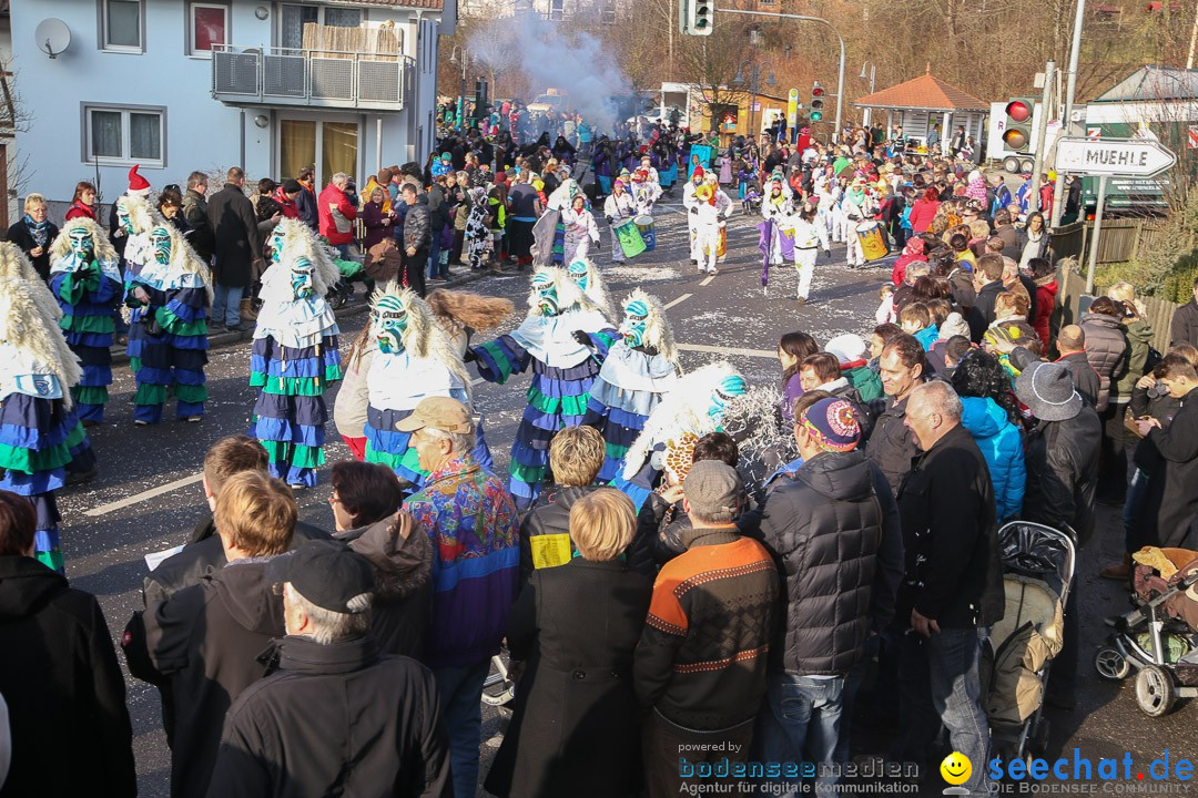 Narrensprung: Hasenweiler am Bodensee, 12.01.2014