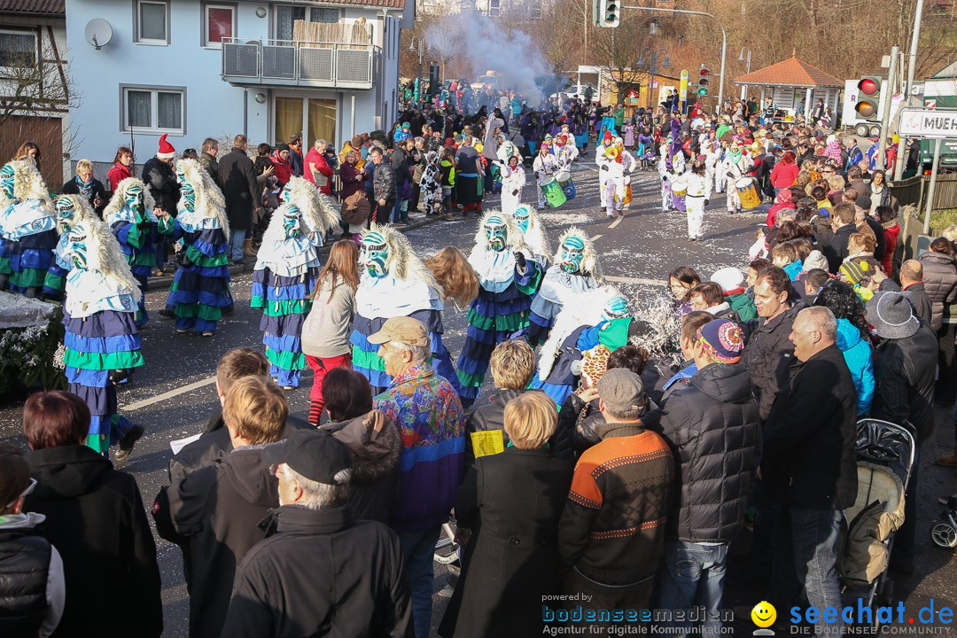 Narrensprung: Hasenweiler am Bodensee, 12.01.2014