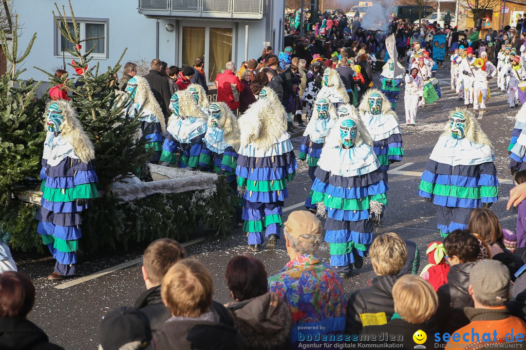 Narrensprung: Hasenweiler am Bodensee, 12.01.2014