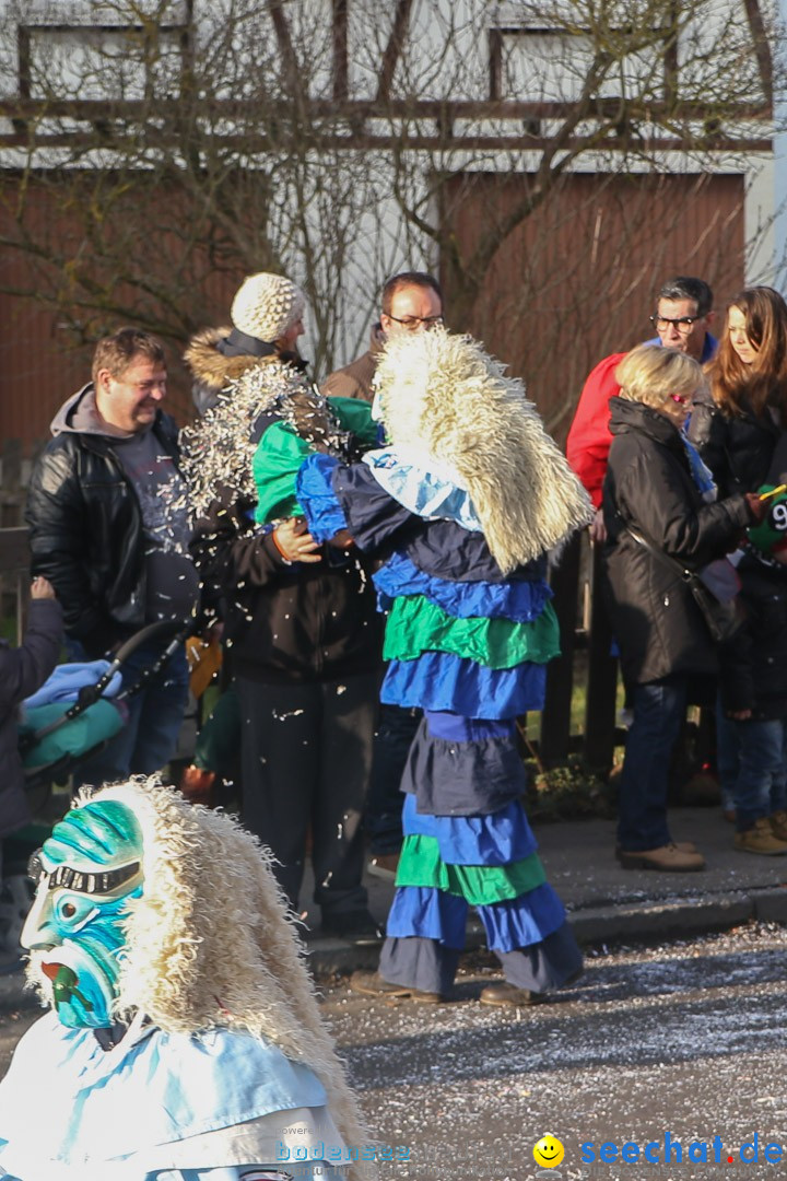 Narrensprung: Hasenweiler am Bodensee, 12.01.2014