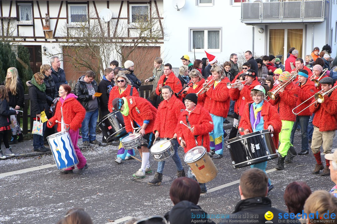 Narrensprung: Hasenweiler am Bodensee, 12.01.2014