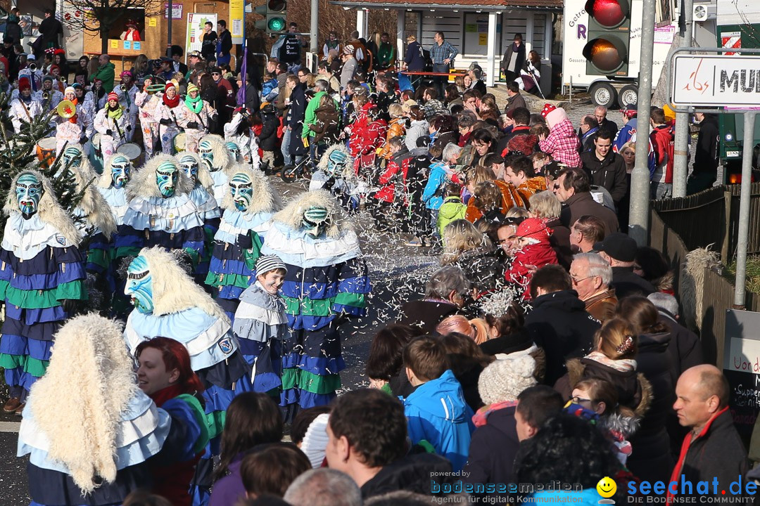 Narrensprung: Hasenweiler am Bodensee, 12.01.2014