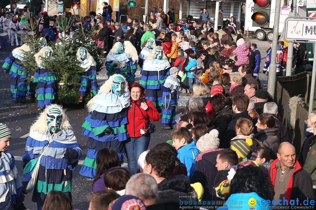 Narrensprung: Hasenweiler am Bodensee, 12.01.2014