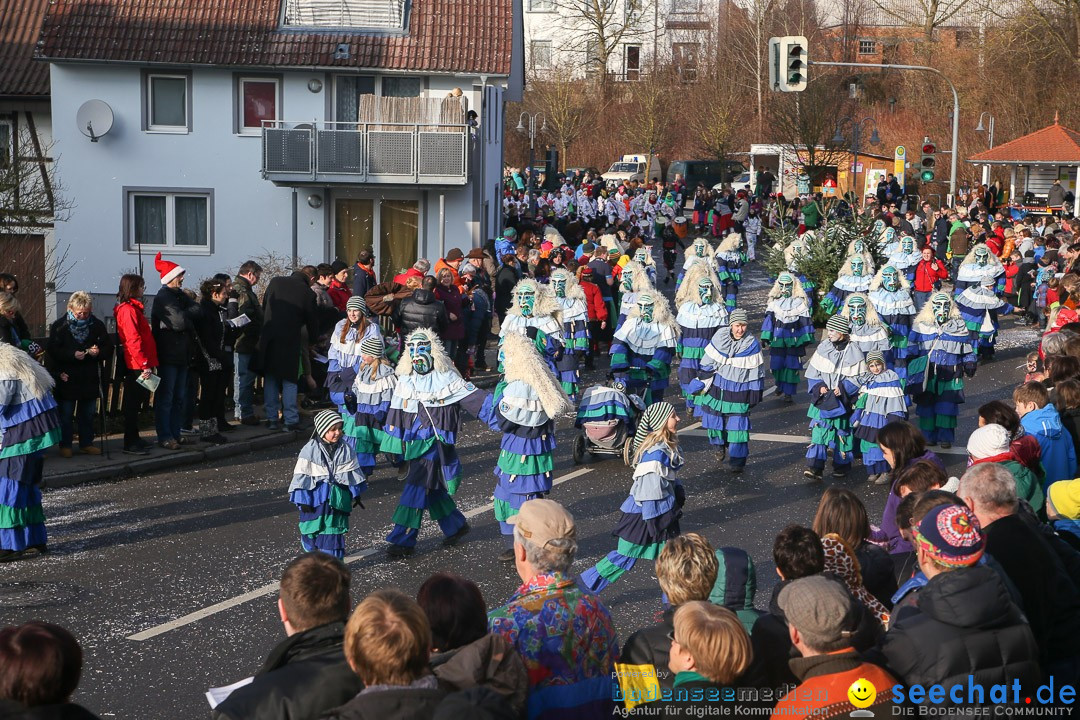 Narrensprung: Hasenweiler am Bodensee, 12.01.2014