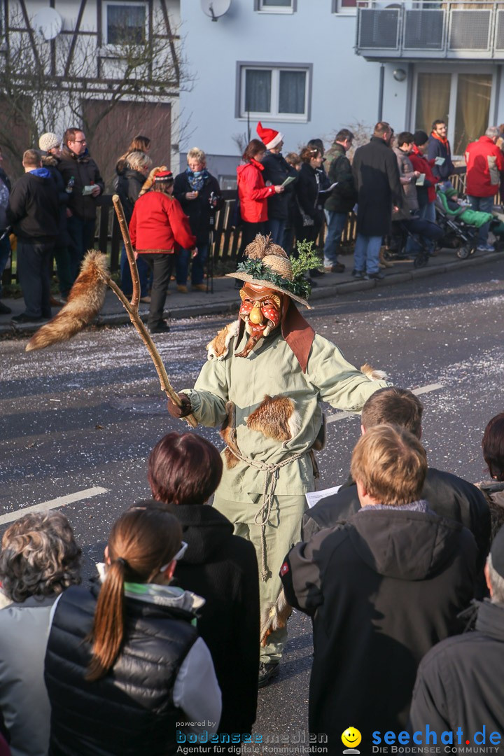 Narrensprung: Hasenweiler am Bodensee, 12.01.2014