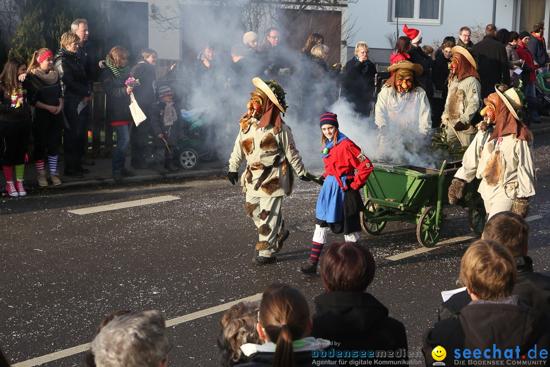 Narrensprung: Hasenweiler am Bodensee, 12.01.2014