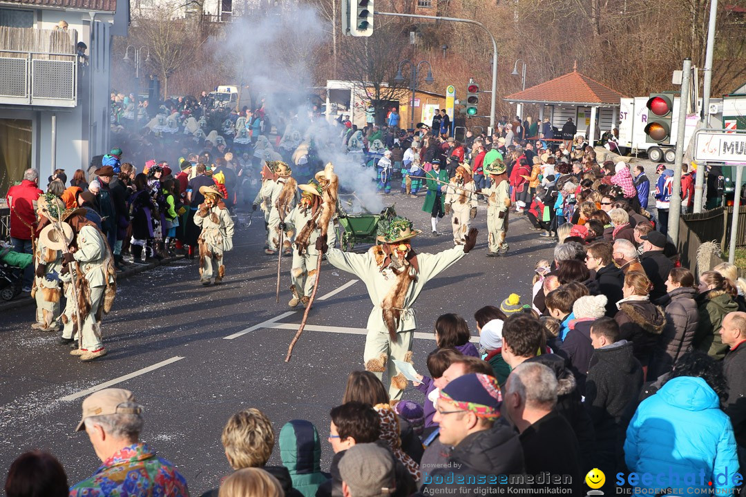 Narrensprung: Hasenweiler am Bodensee, 12.01.2014