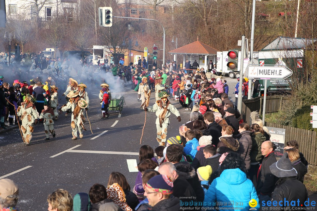 Narrensprung: Hasenweiler am Bodensee, 12.01.2014