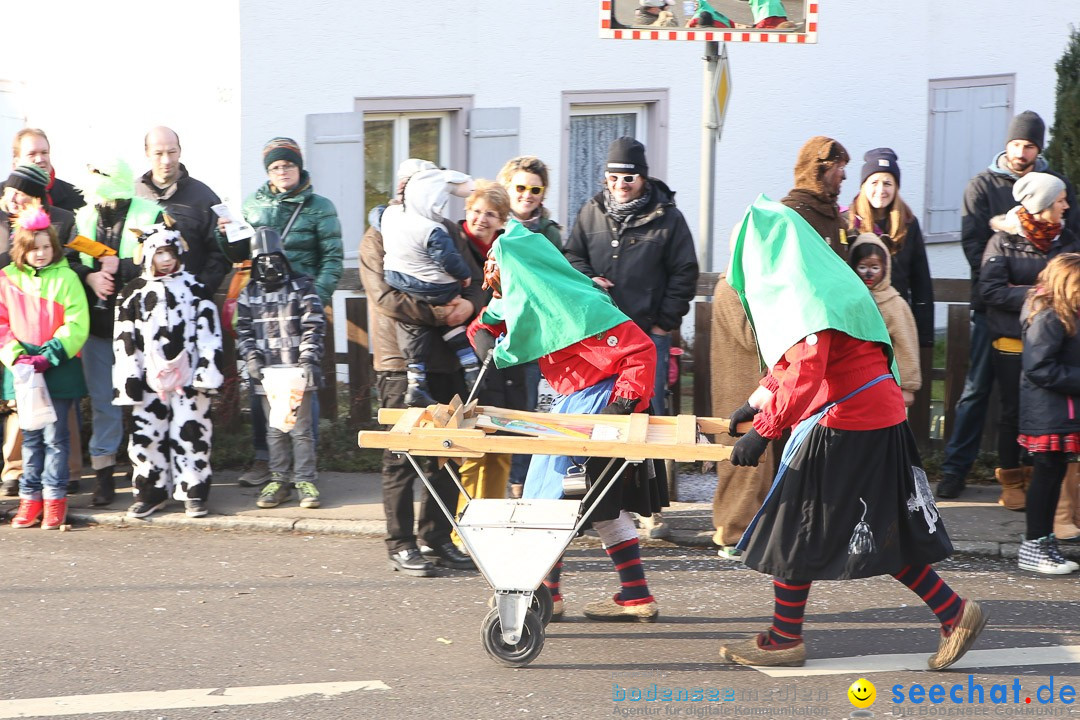 Narrensprung: Hasenweiler am Bodensee, 12.01.2014