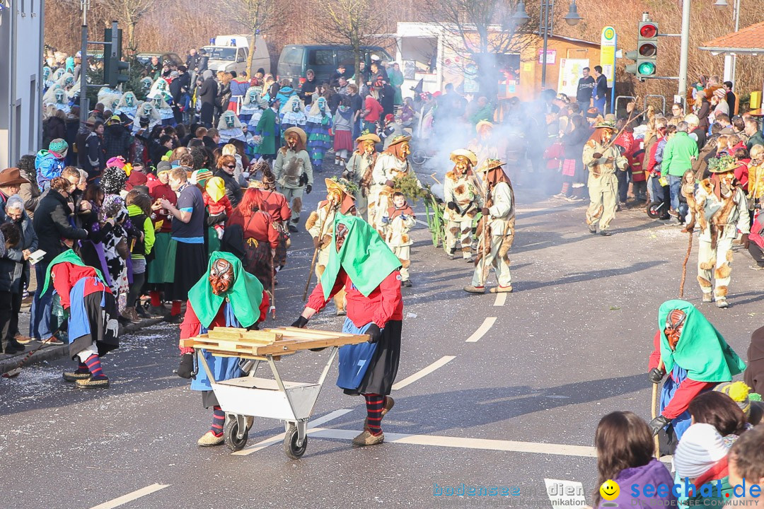 Narrensprung: Hasenweiler am Bodensee, 12.01.2014