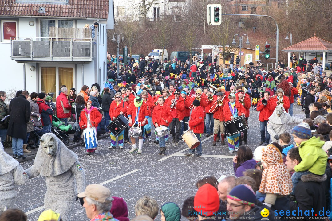 Narrensprung: Hasenweiler am Bodensee, 12.01.2014