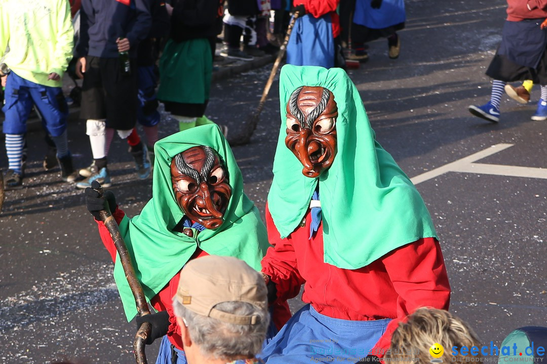 Narrensprung: Hasenweiler am Bodensee, 12.01.2014