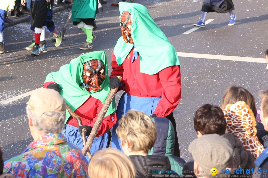 Narrensprung: Hasenweiler am Bodensee, 12.01.2014