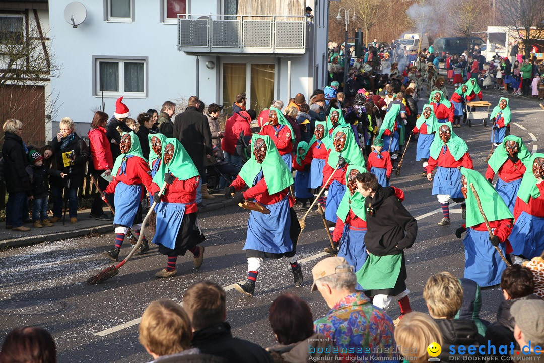 Narrensprung: Hasenweiler am Bodensee, 12.01.2014