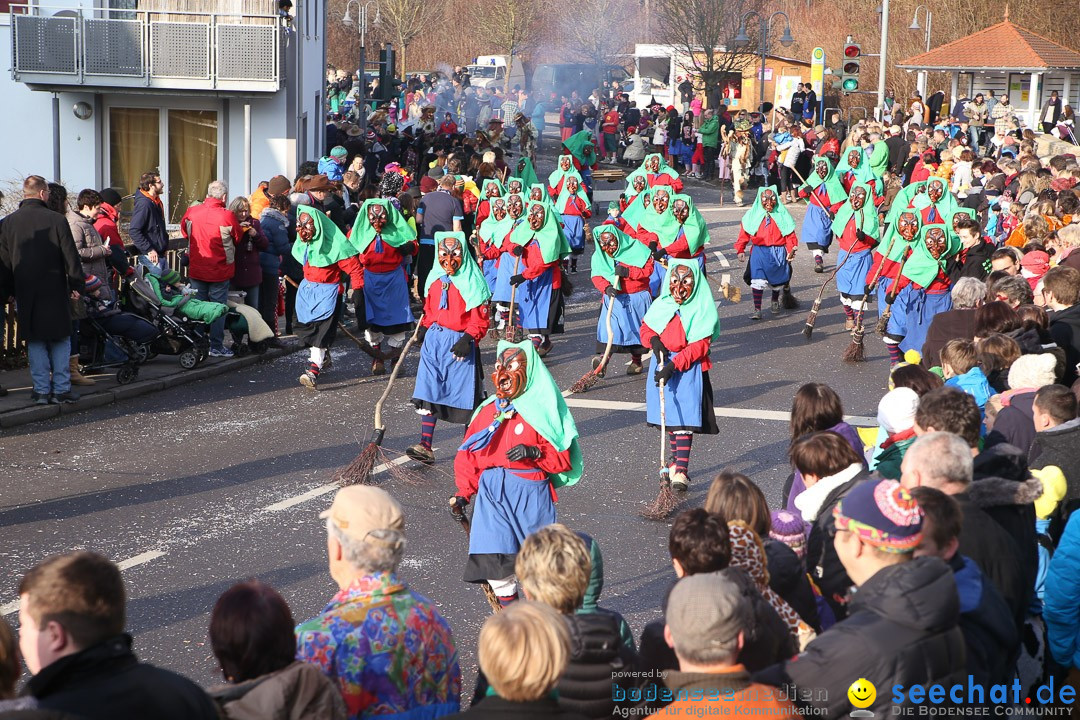 Narrensprung: Hasenweiler am Bodensee, 12.01.2014