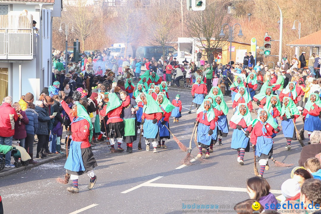 Narrensprung: Hasenweiler am Bodensee, 12.01.2014