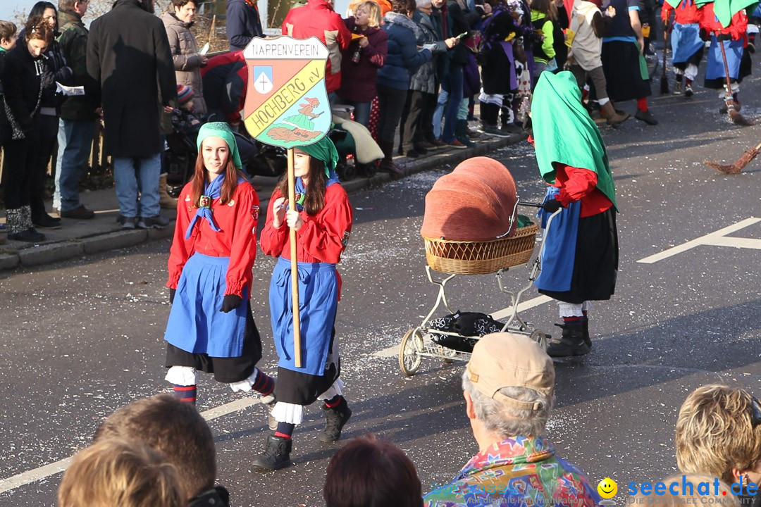 Narrensprung: Hasenweiler am Bodensee, 12.01.2014