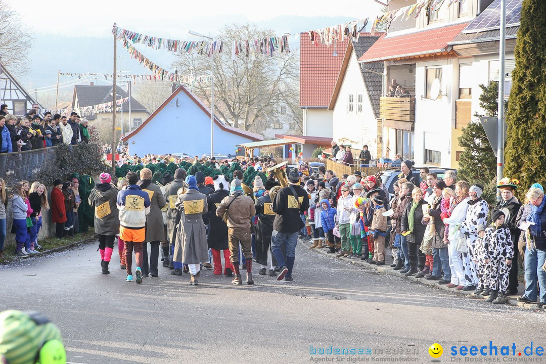 Narrensprung: Hasenweiler am Bodensee, 12.01.2014